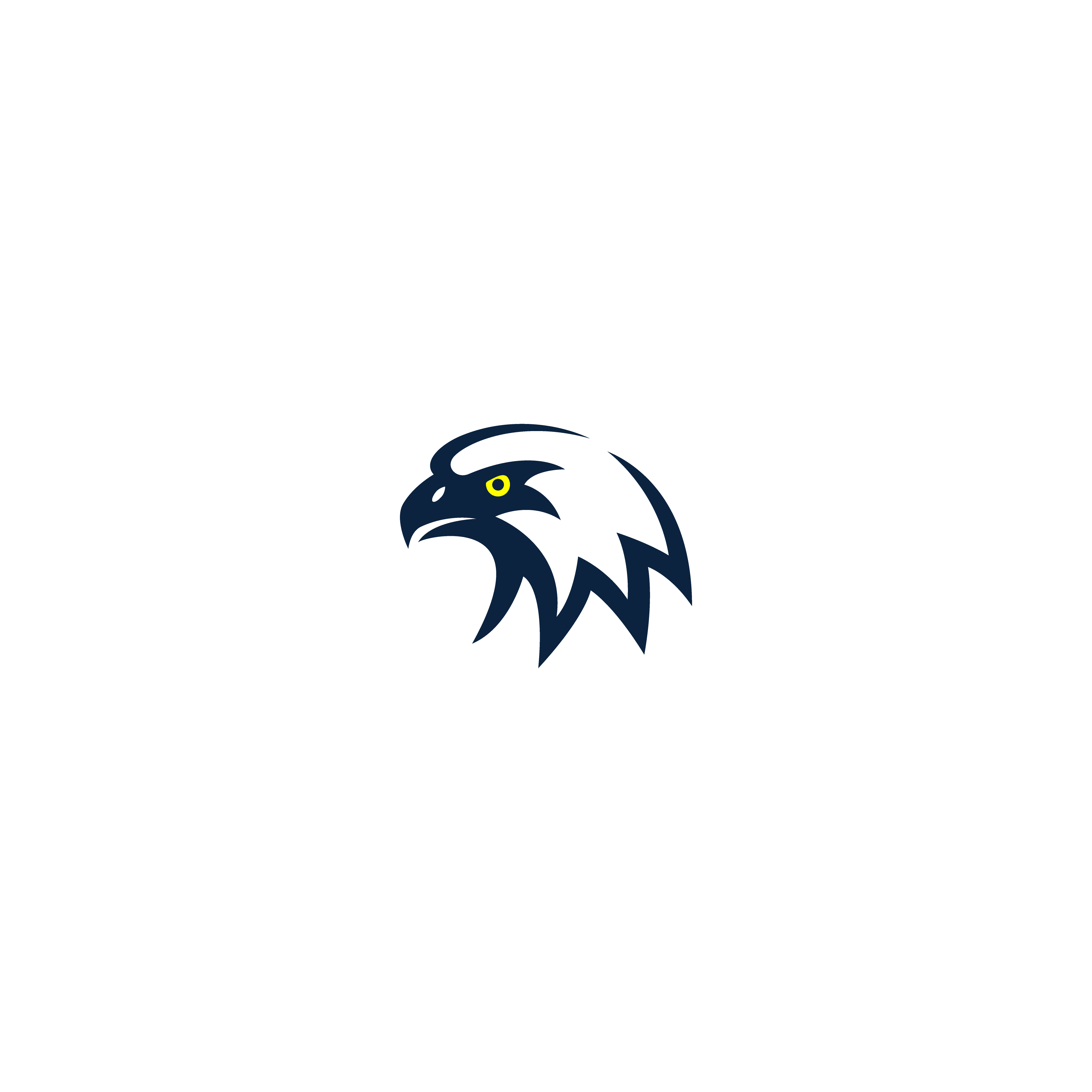 eagle eye logo eagle eye logo